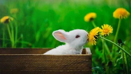 开云注册网址-上海男篮迎来新主教练，战术大调整，上海男篮最新主教练