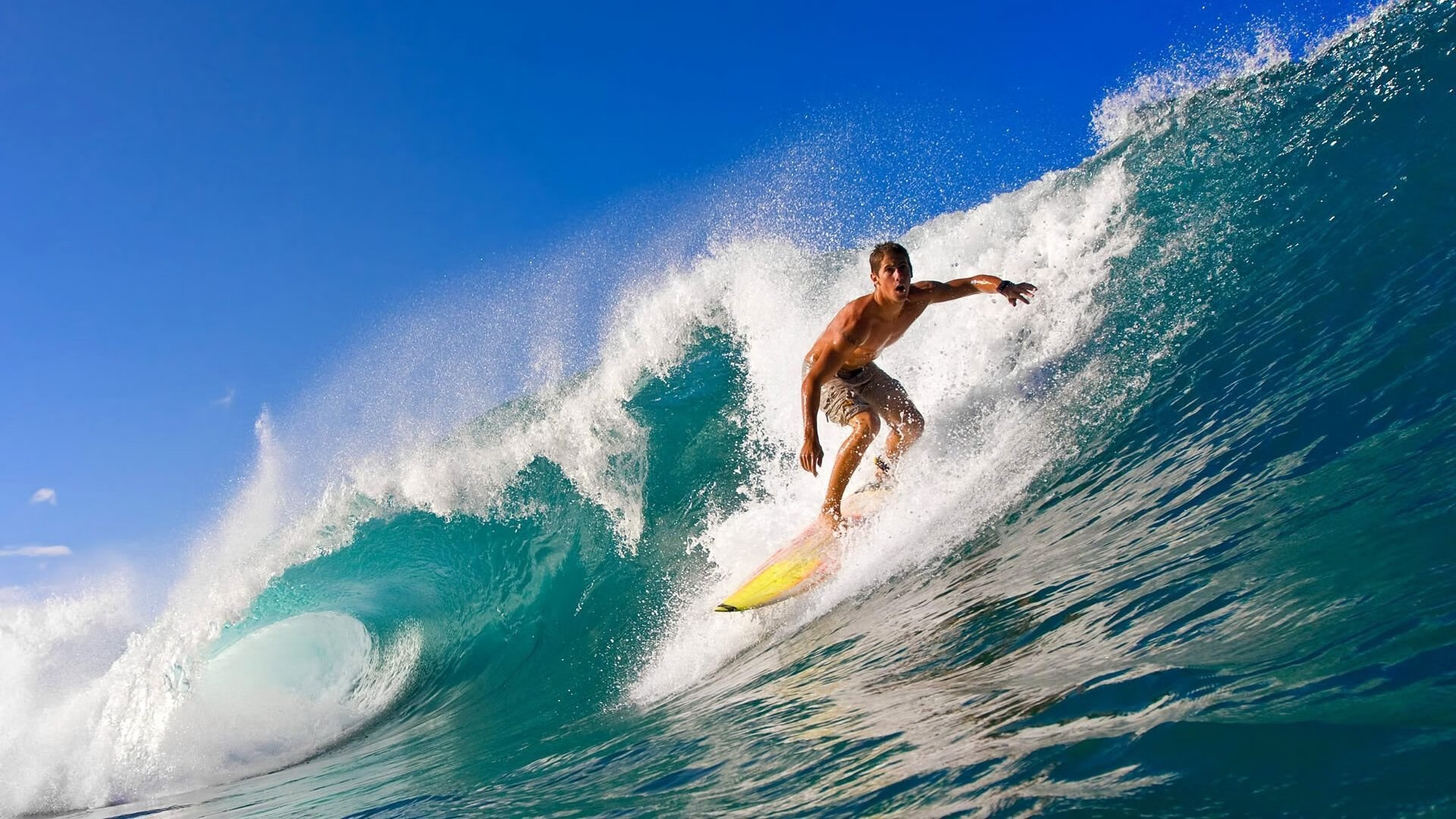 巴西男足主帅：未能晋级是“巨大的失望”，巴西 男足